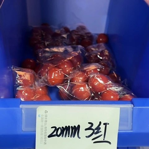 红红火火过哥哥风格刚刚好