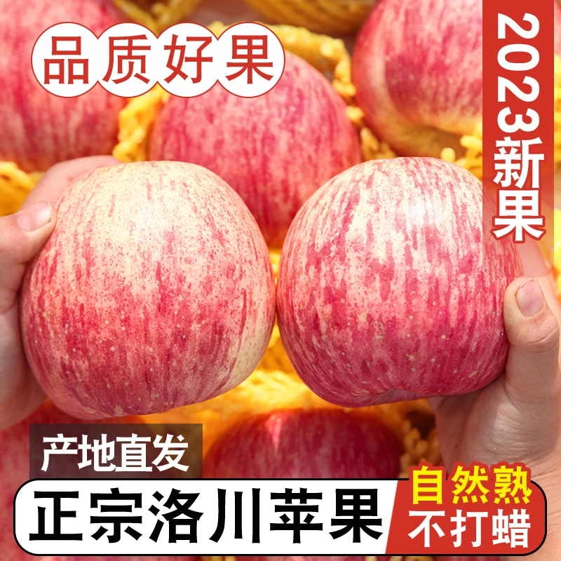 正宗陕西洛川苹果红富士新鲜时令脆甜水果2024新果香脆多汁包邮