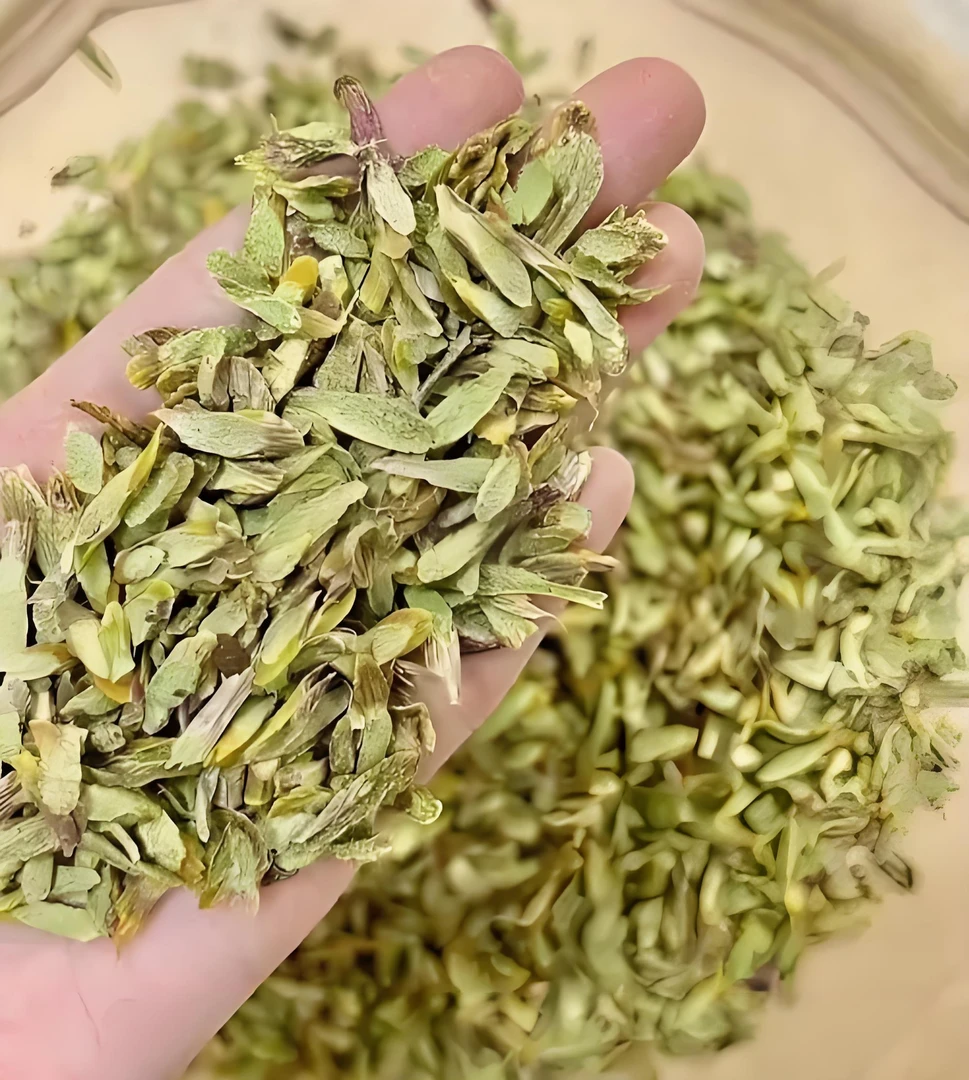 诚农土特产石胡菇