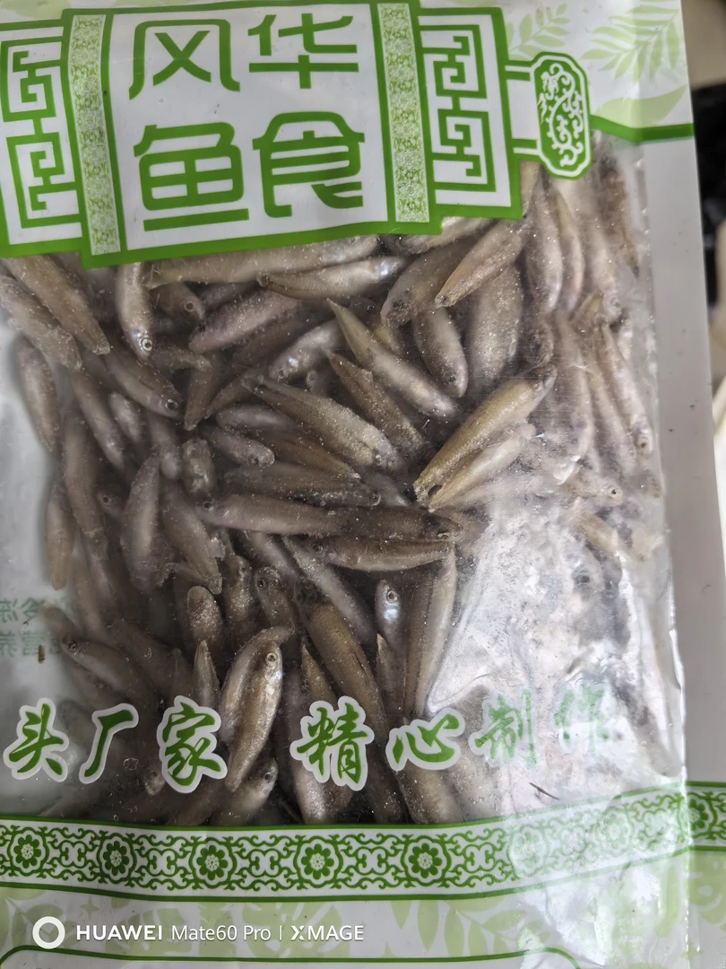 龙鱼虎鱼魟鱼巨物龟类大型鱼鱼粮冷冻颗粒鱼食