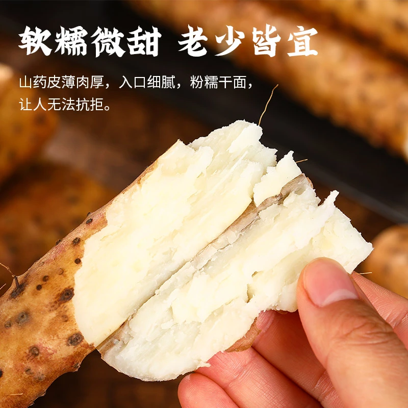 新鲜温县垆土铁棍山药河南焦作怀山药软糯香甜怀山药5斤原产