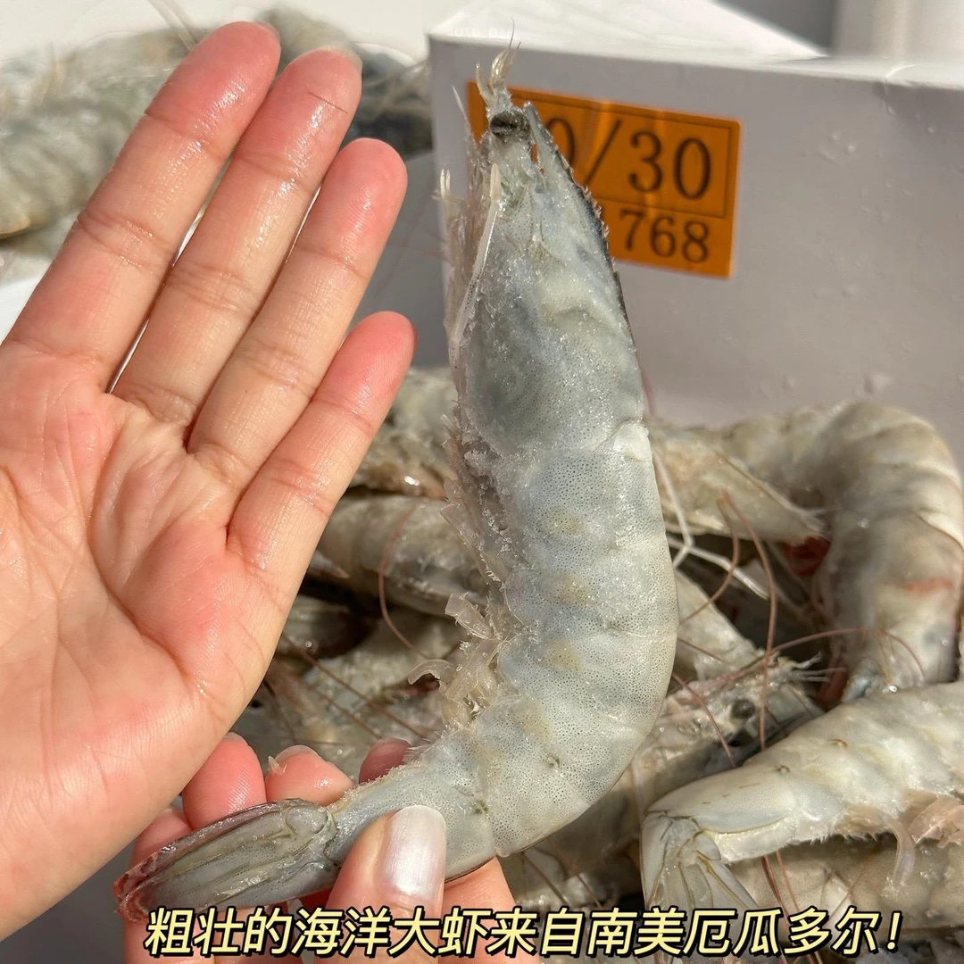 白虾桑塔白虾1.65KG盐冻海水虾连云港发厄瓜多尔南美白虾原装进口