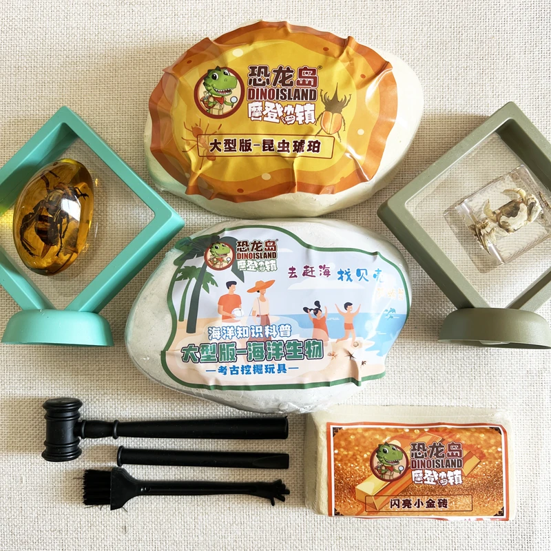真实昆虫标本+海洋生物标本【自然科普挖掘套装】考古挖掘玩具