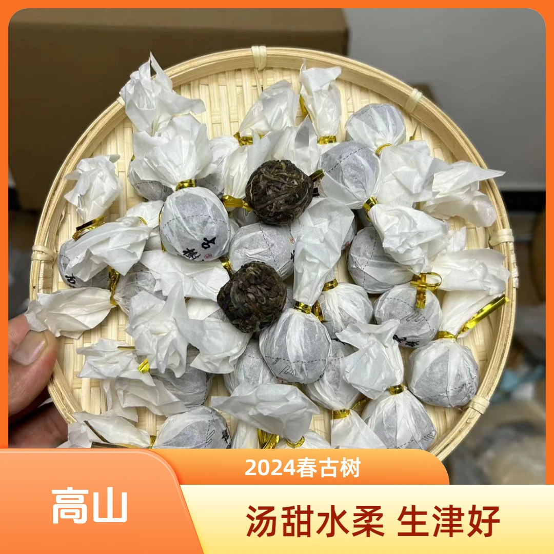 2024 大雪山古树 春茶 6g龙珠