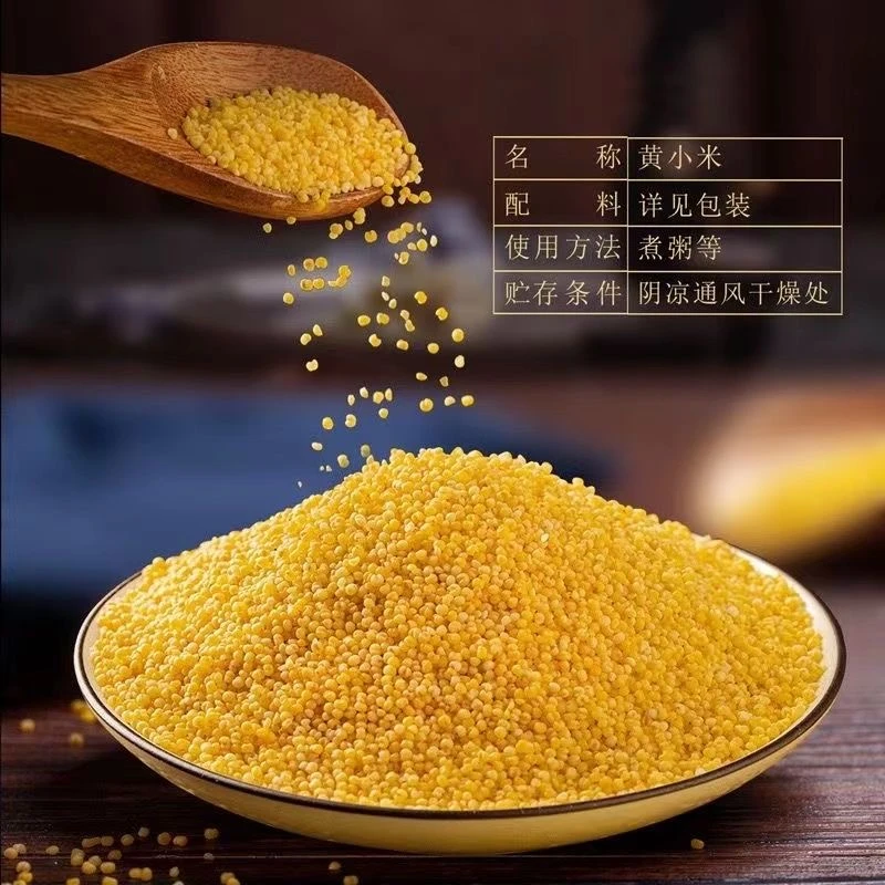 沂蒙山优质黄小米5斤今年新小米