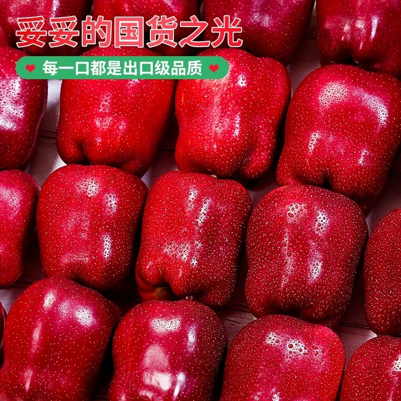 【精选】新鲜甘肃花牛苹果5斤面甜粉糯型大果精品礼盒送礼宝宝辅食