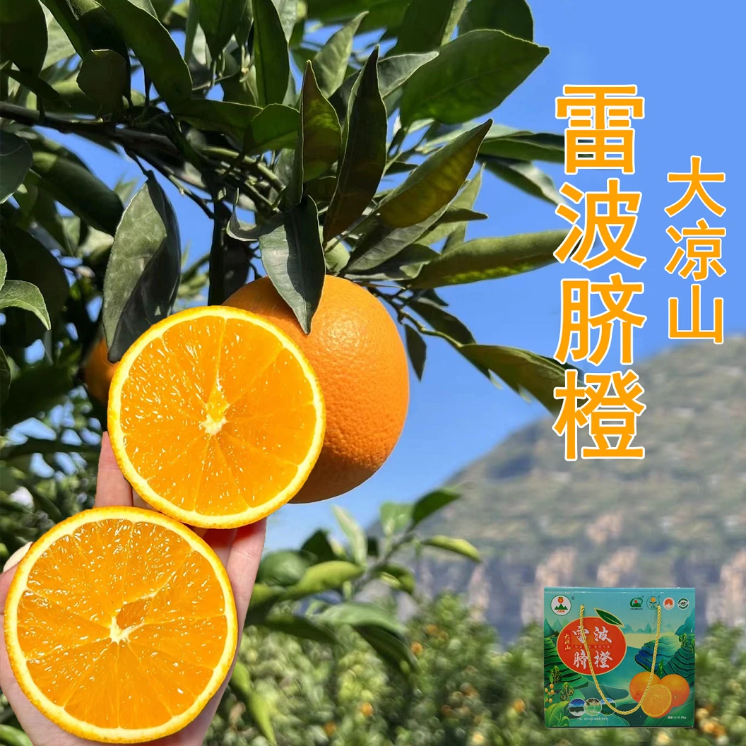 正宗大凉山雷波脐橙鲜甜化渣饱满多汁应季新鲜水果现摘现发自然
