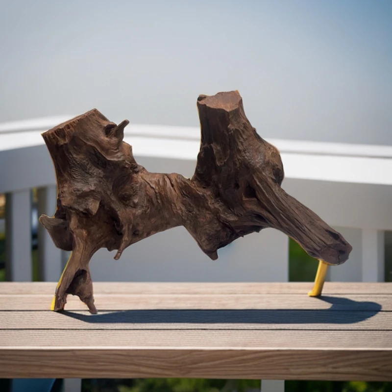 紫柚沉木树桩，龟爬