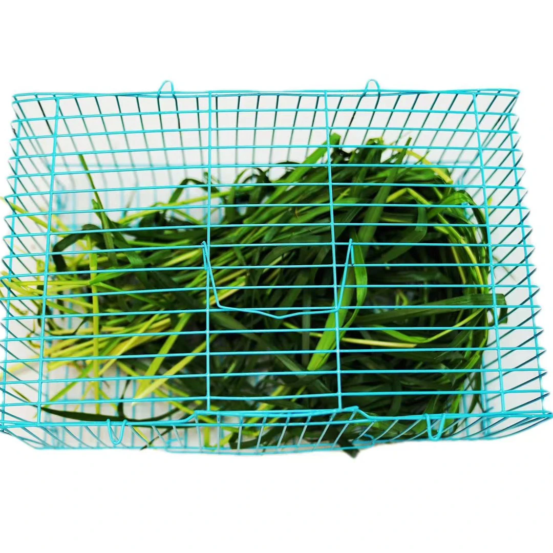 【宠物兔发货箱】一物一拍，发出后不能退换，不能拒收！包7天售后，