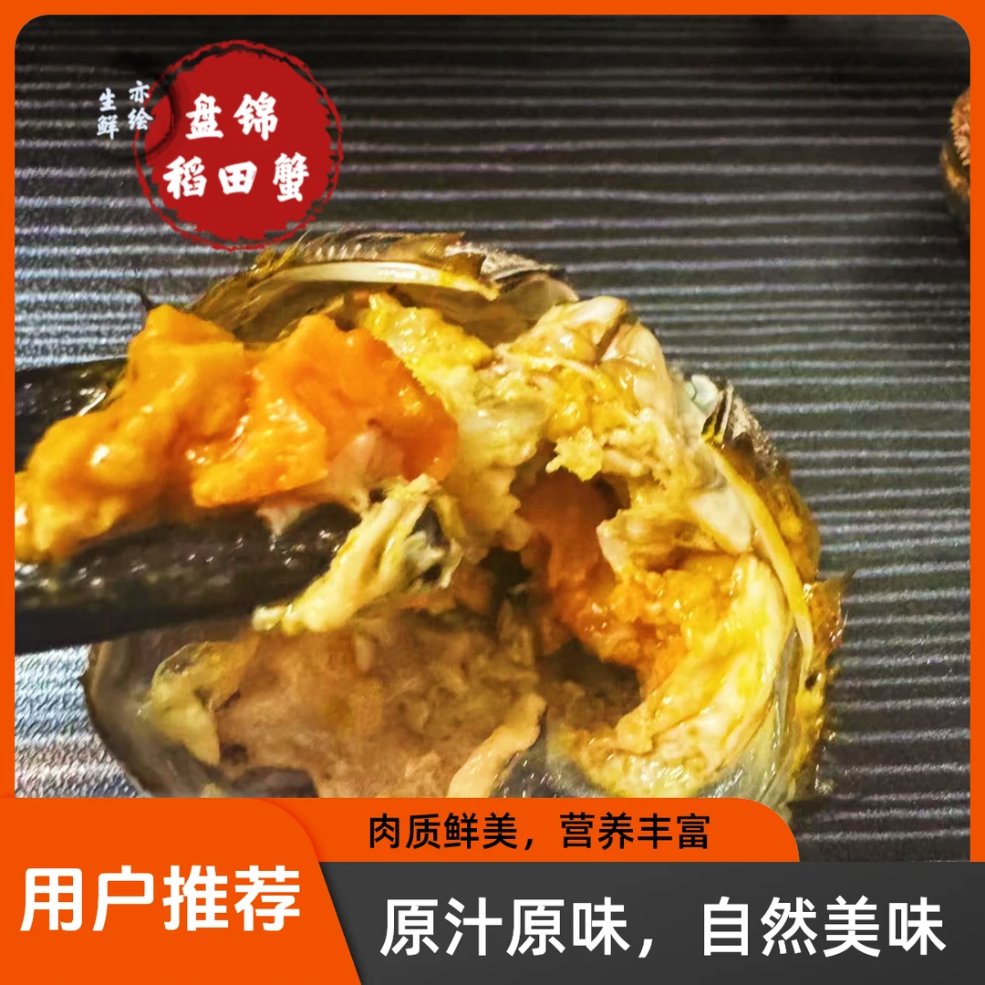 【活蟹】正宗盘锦河蟹稻田蟹 母蟹(0.9两-1.2两)3斤【26-30】只