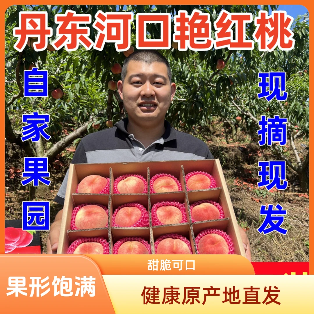 【下单秒发】丹东河口艳红桃鸭绿江边的桃子脆甜多汁有毛燕红水蜜桃