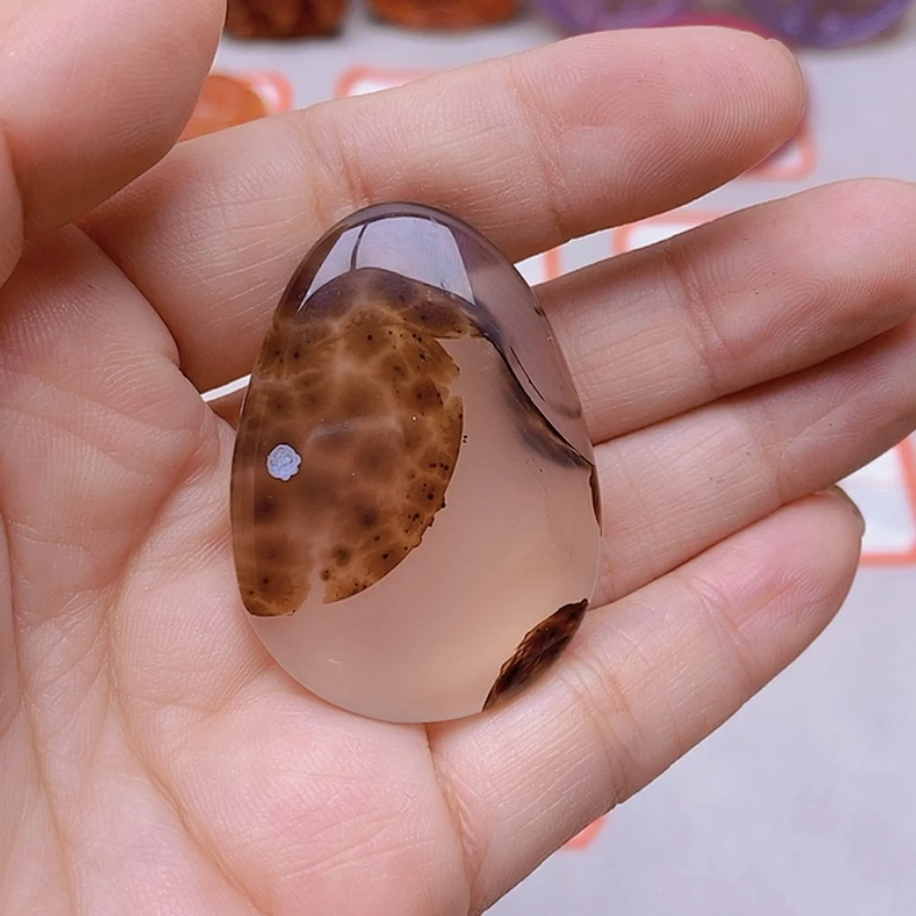 【闪购商品】玛瑙/玉髓颈饰未镶嵌?**卄