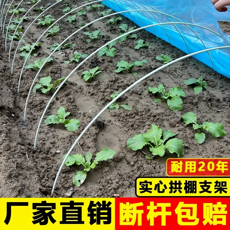 新型小拱棚支架豆角大棚骨架拱杆玻璃钢纤维杆农用菜地秧苗支撑杆