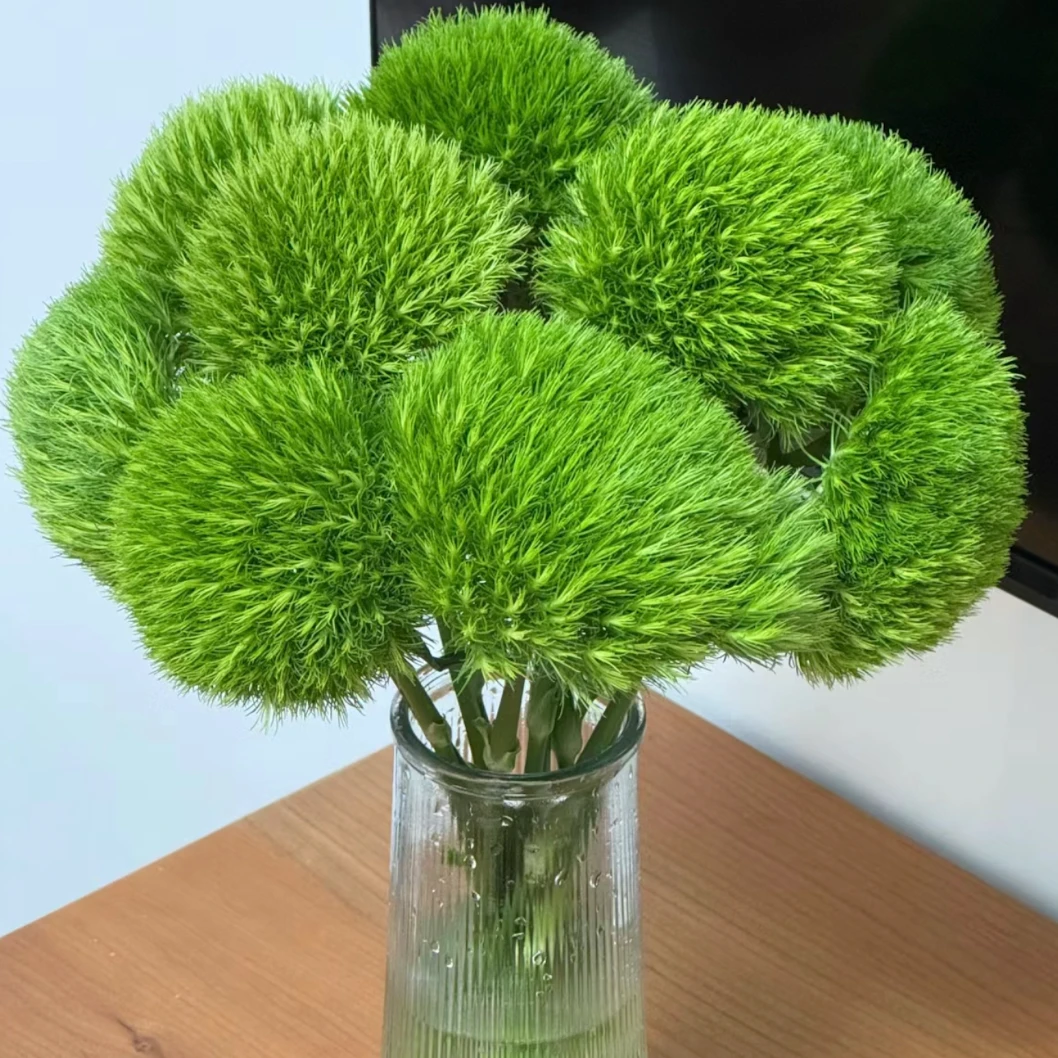 【绿毛球】草花装饰云南基地直发一件包邮顺丰冷链搭配鲜切花花材
