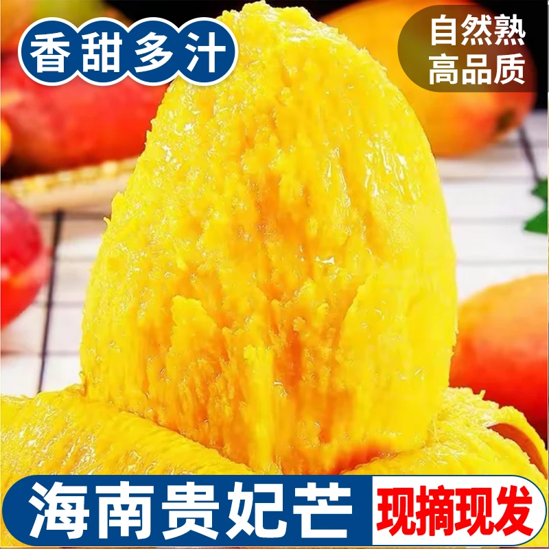 【顺丰空运】树上熟海南贵妃芒果新鲜现摘应当季整箱热带水果礼盒装