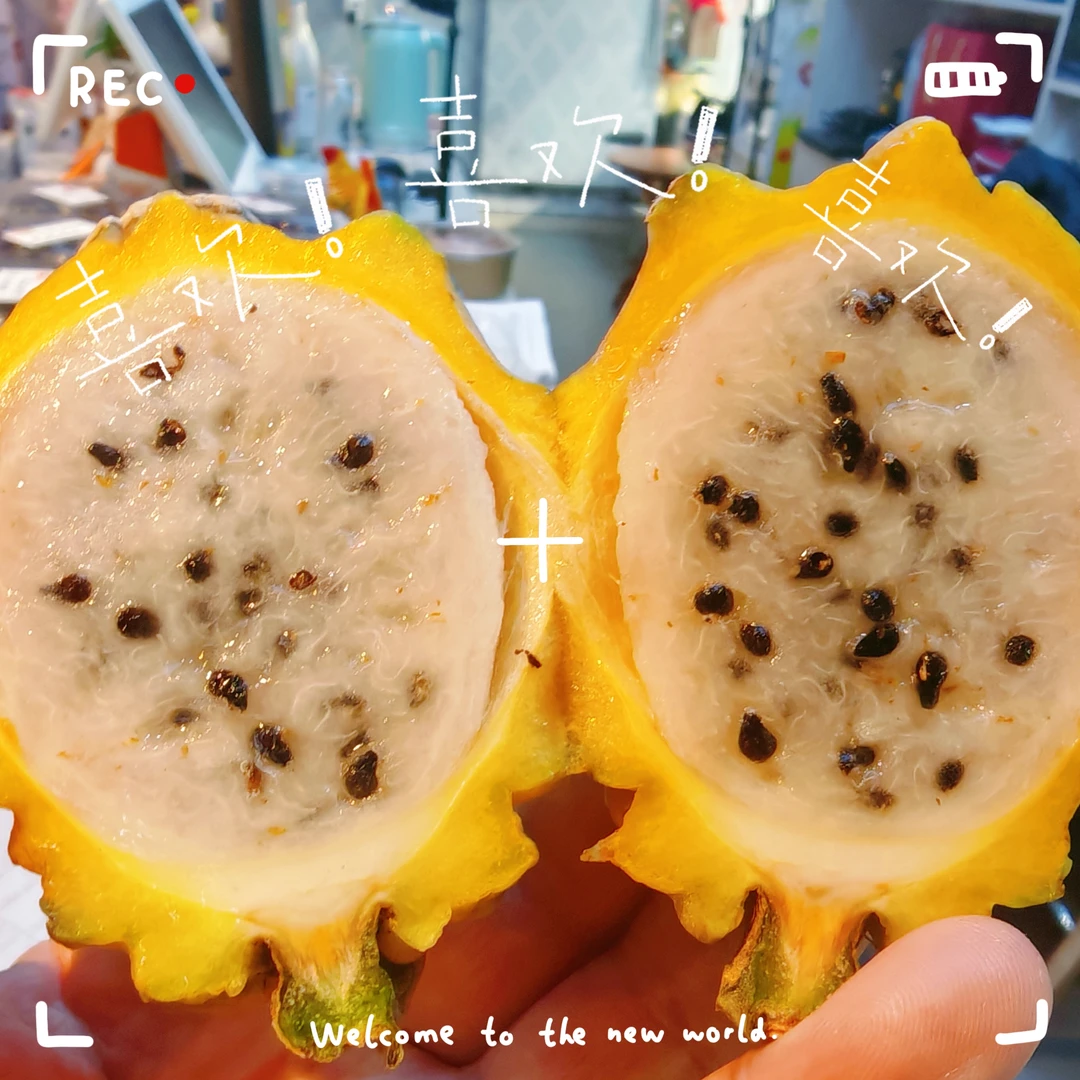 海南树上熟燕窝果