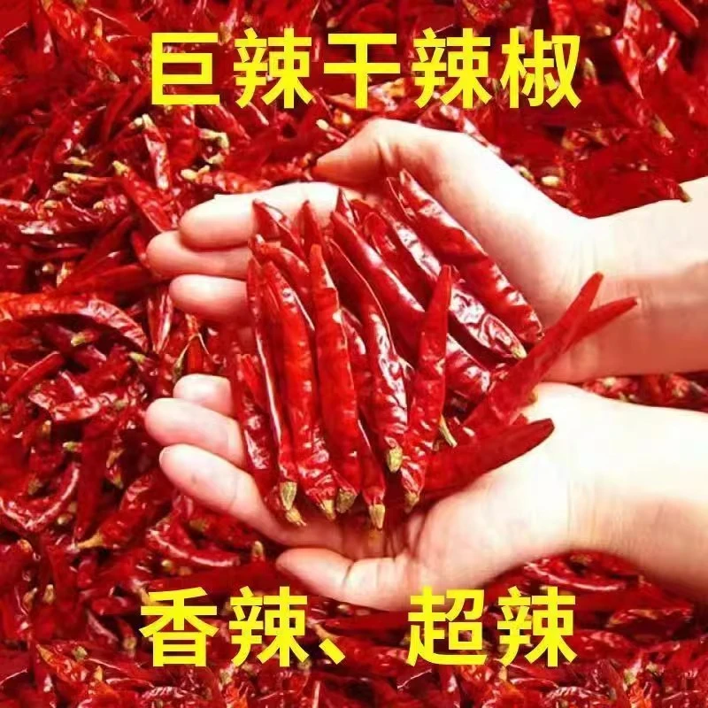 正宗魔鬼椒特辣魔鬼椒段特细打粉家用农产品晒干超辣辣椒粉川味