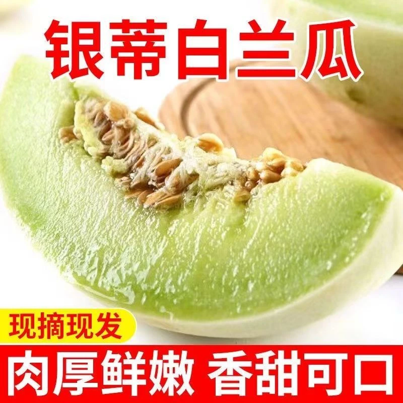 京东到家|甘肃民勤沙漠银蒂白兰瓜软糯香甜口口爆汁整箱包邮