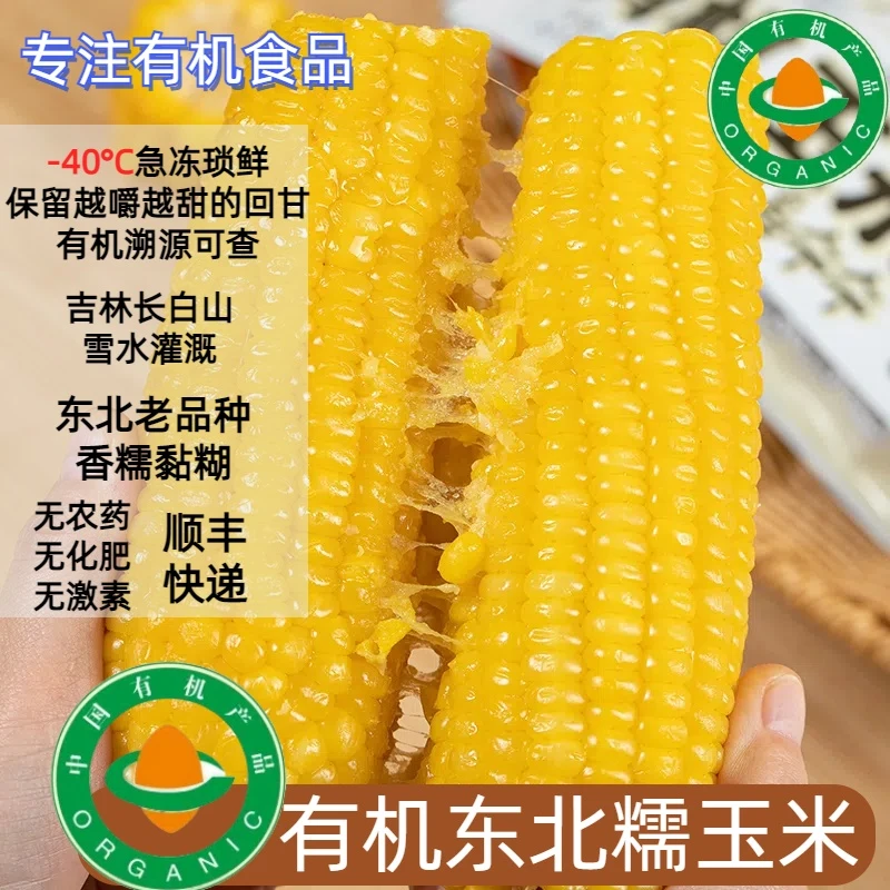 【天花板】有机玉米东北黄糯老品种黑土种植 软糯香甜宝宝辅食低卡