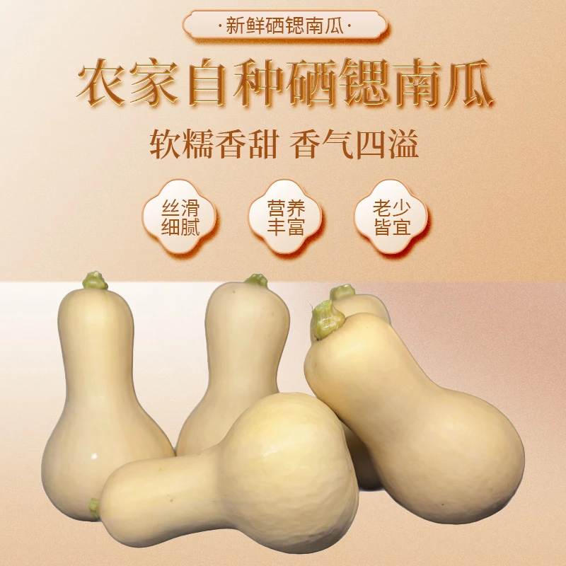 尚蔬佳硒锶南瓜瓜肉粉面细腻回味膳食五斤装 【坏果包赔】农家优质