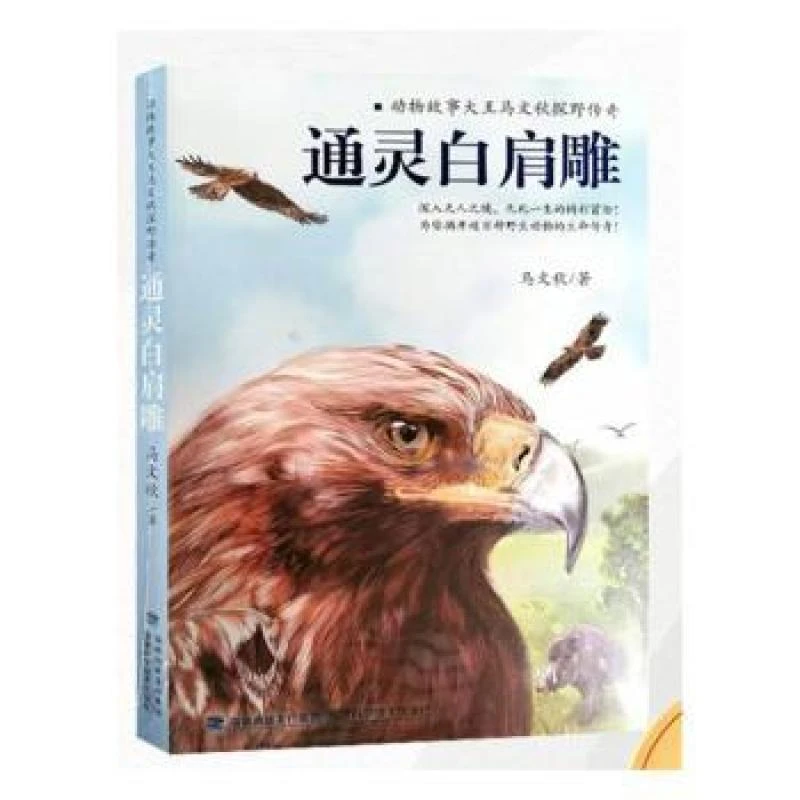 【正版图书】 通灵白肩雕(动物故事大王马文秋探野传奇) 马文秋