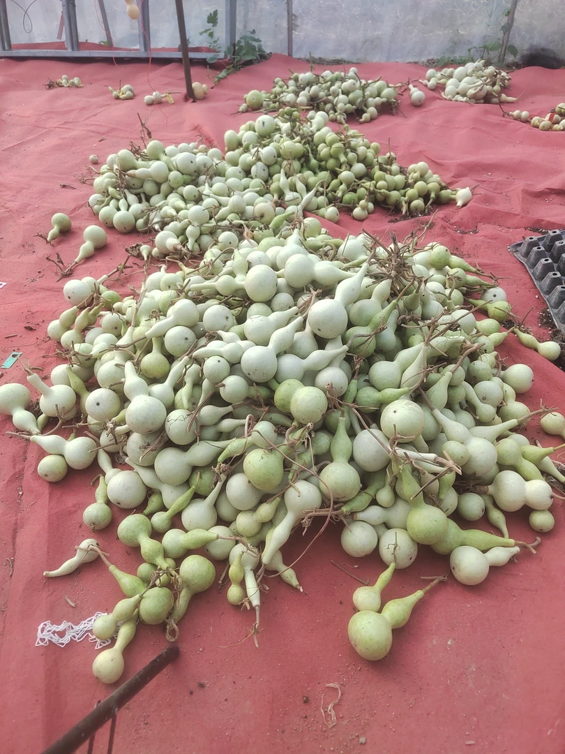 铁皮本捻10+1直播间专用链接