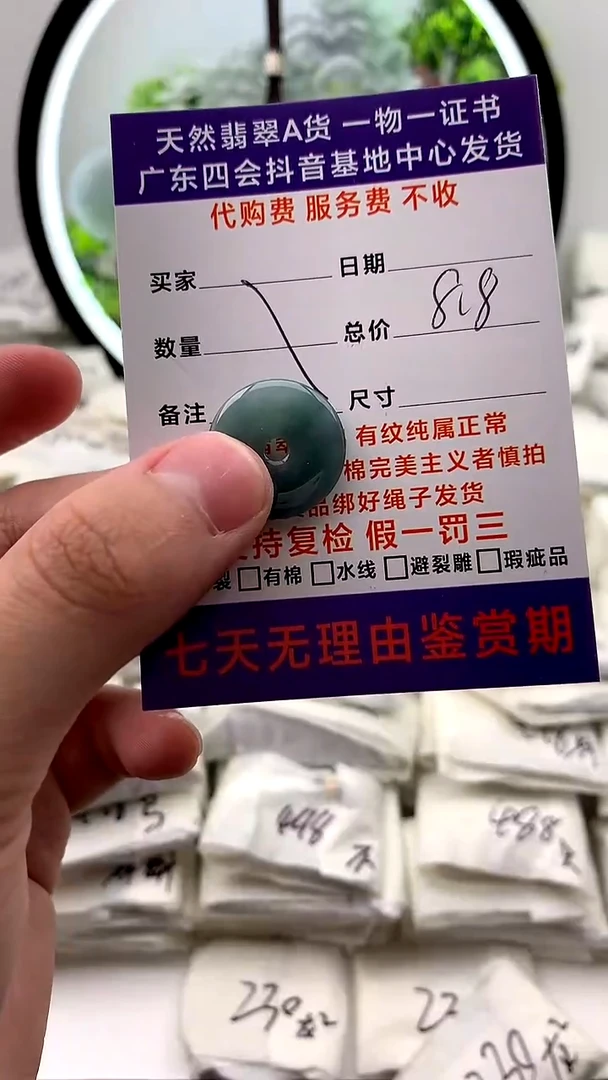 【闪购商品】翡翠颈饰未镶嵌平安扣【品质一般能接受再拍】