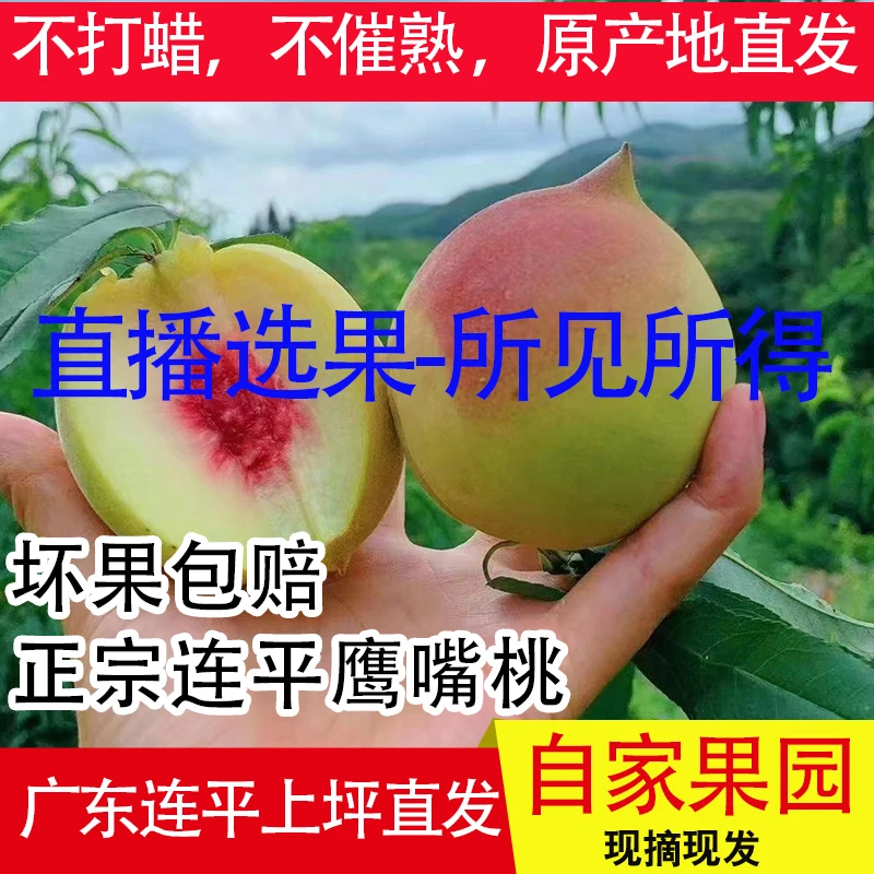 正宗广东河源连平鹰嘴桃清脆鲜甜鹰嘴蜜桃