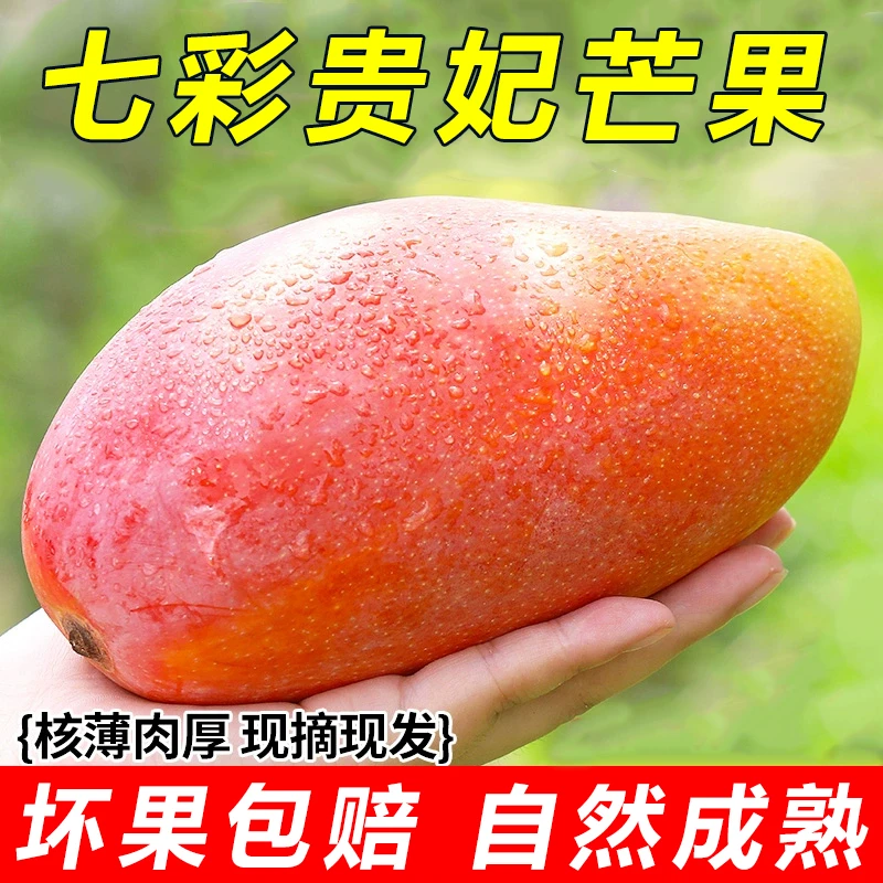 七彩贵妃芒果5/10斤新鲜热带水果广西大芒果甜红金龙芒应当季现摘
