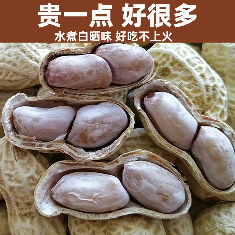 新花生正宗龙岩特产福建盐水花生水煮白晒咸干带壳花生坚果零食