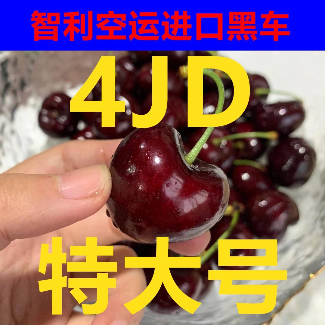 智利进口车厘子 空运现货 桑提娜4JD 2.5KG 原箱 顺丰包邮