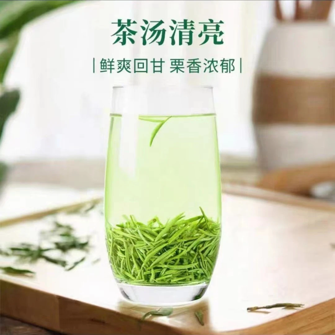 2024信阳毛尖新茶  精品小米芽 芽头整齐 鲜爽回甘 袋装茶叶