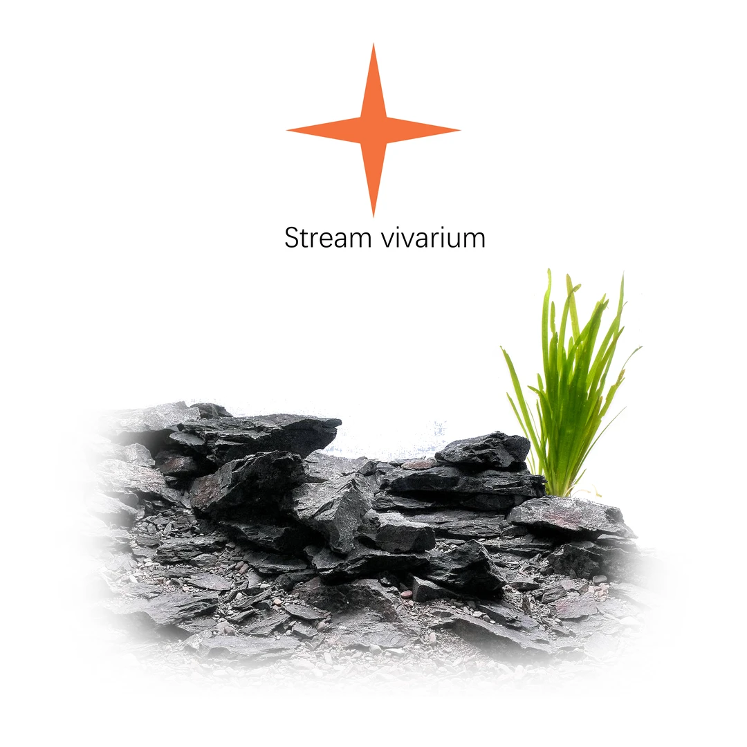 【造景•溪流】溪流原生造景必备水草 需底沙溪流沙种植