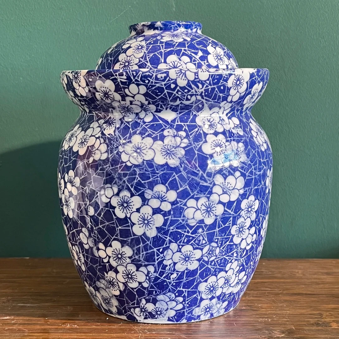 十斤冰梅大泡菜坛