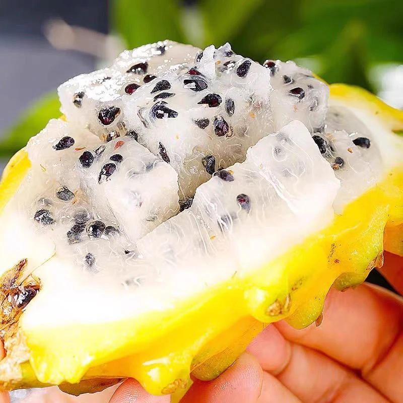 胖丫哈仓发 燕窝果 新奇特水果 泡沫箱发 一箱1.5斤