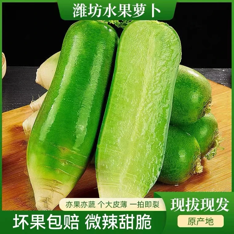 水果型青萝卜不辣多汁冰淇淋萝卜青萝卜生吃新鲜发货净重3斤/5斤