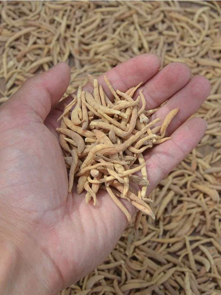 农家自晒太子根参