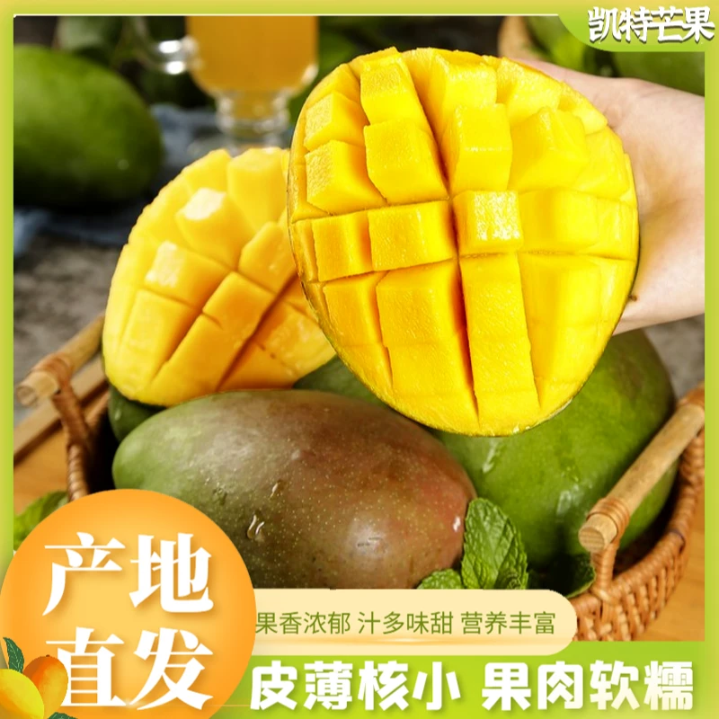 凯特芒四川攀枝花芒果果园直发现摘现发果肉香甜