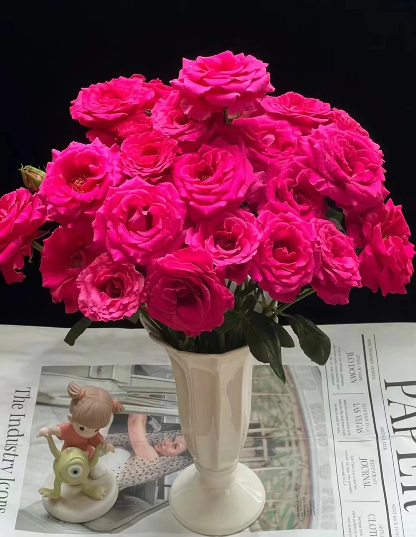 云南满园基地鲜花 ——【多头弗洛伊德】10枝  包邮