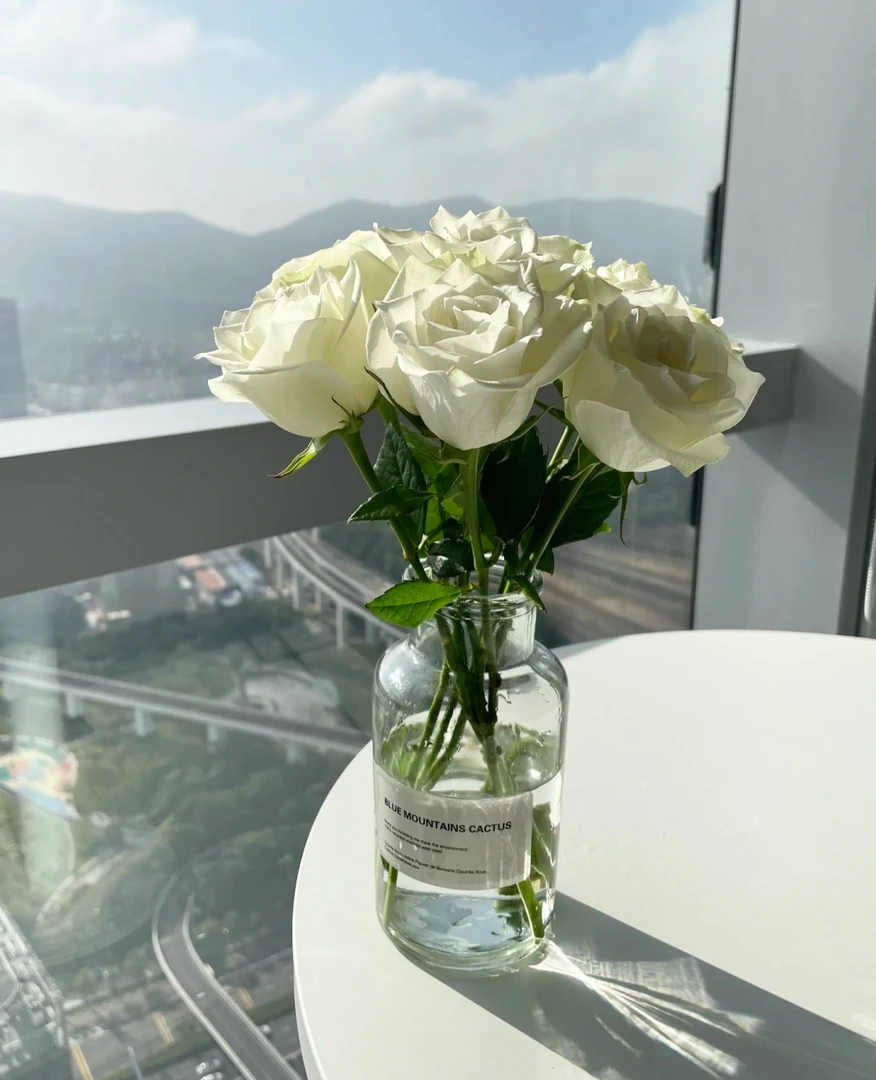 云南满园基地鲜花  白玫瑰 —— 【雅典娜】