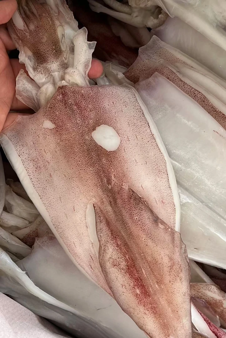 潮汕特产 本港湿鱿鱼 零食