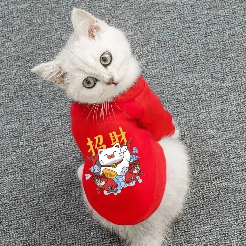 喜庆宠物衣服不掉毛秋冬款猫猫小型幼犬柯基博美防冻招财猫咪卫衣