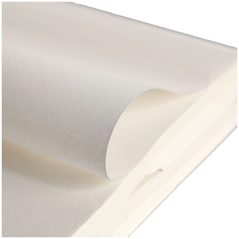 S【12】三尺50x100厘米 特种净皮  加厚48克 100张创作专用