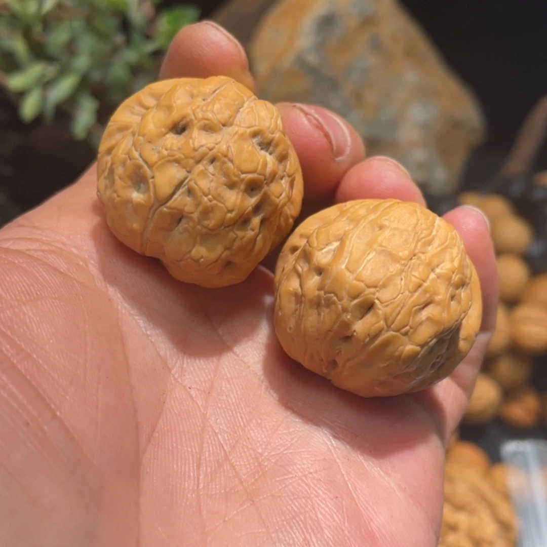 【闪购商品】文玩核桃把件644