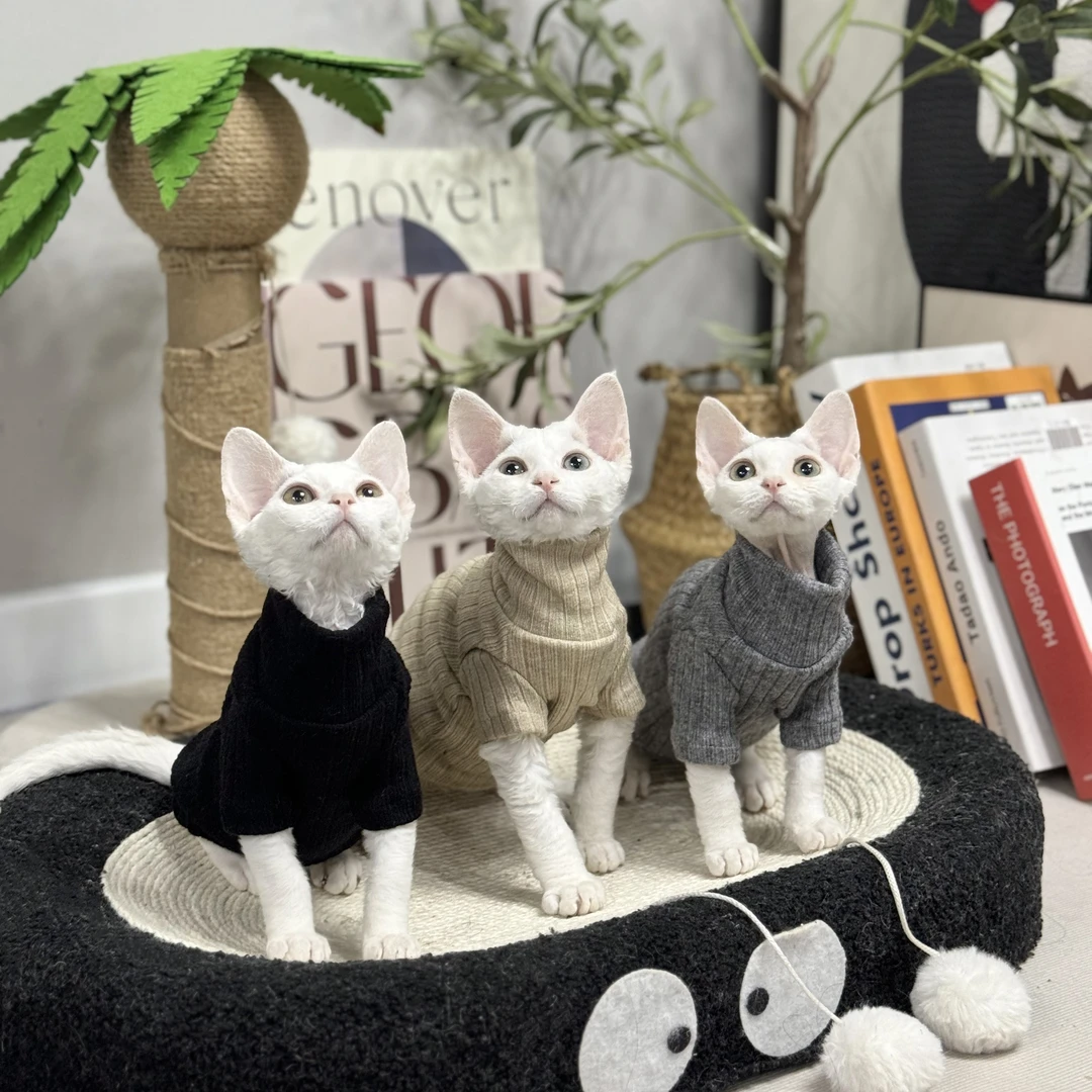 斯芬克斯无毛猫衣服羊绒衫冬季保暖高领打底毛衣秋冬内搭猫衣服