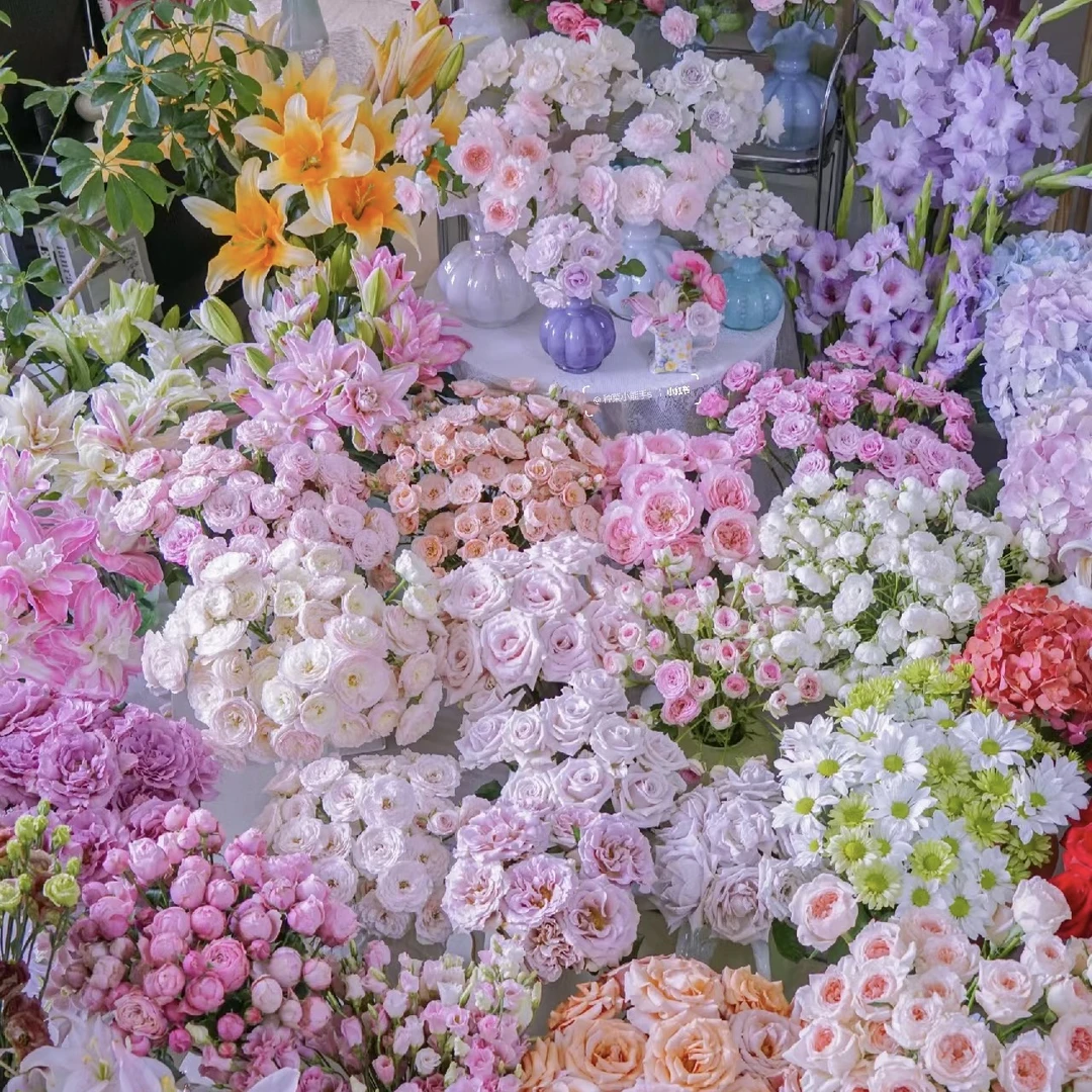 【与禾花卉】玫瑰组合专用链接 斗南基地 包邮发货