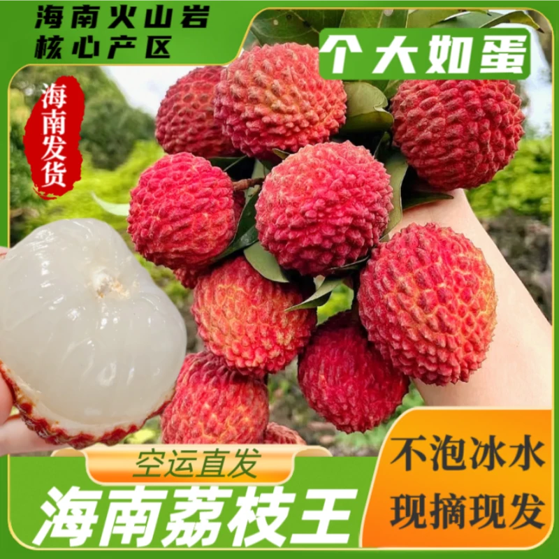 调价链接海南火山岩荔枝王当季新鲜水果大个如蛋纯甜现摘现发空运