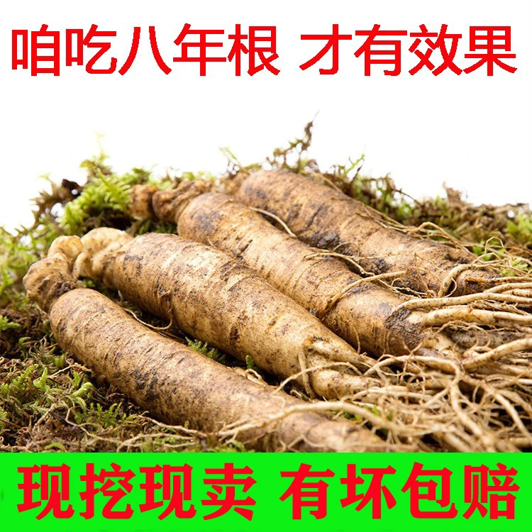 长白山鲜人参250克人参礼盒新鲜带土人参高龄白参生晒参煲汤泡酒