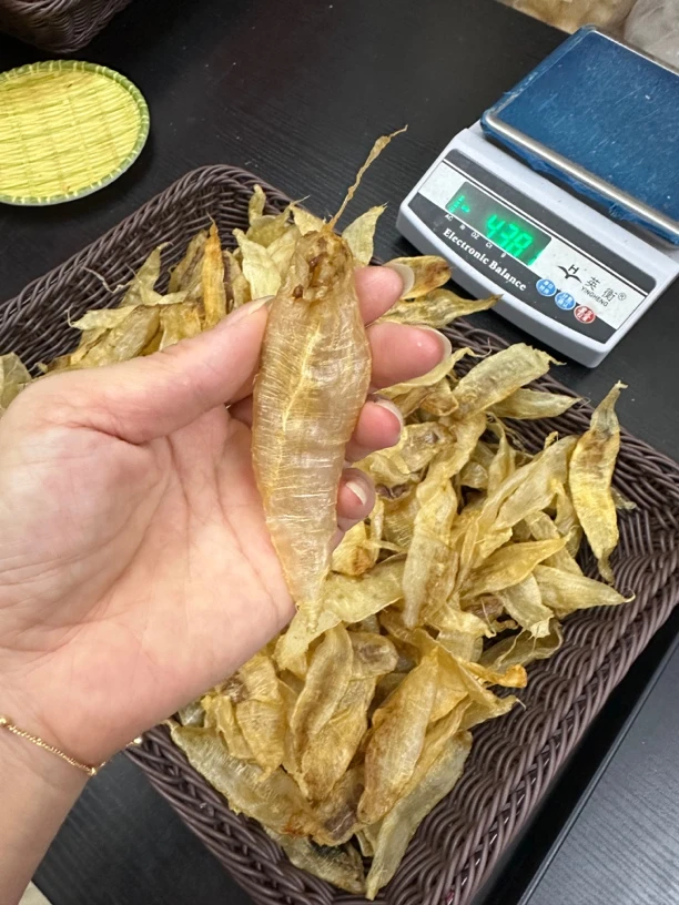 0963红口鱼胶500克