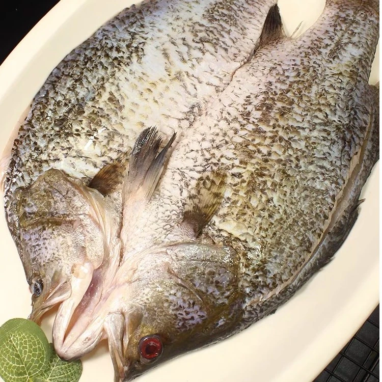 【三去】5条，500g-550g/条，金目鲈尖吻斑苏榄眉鱼免处理鲜嫩无骨刺